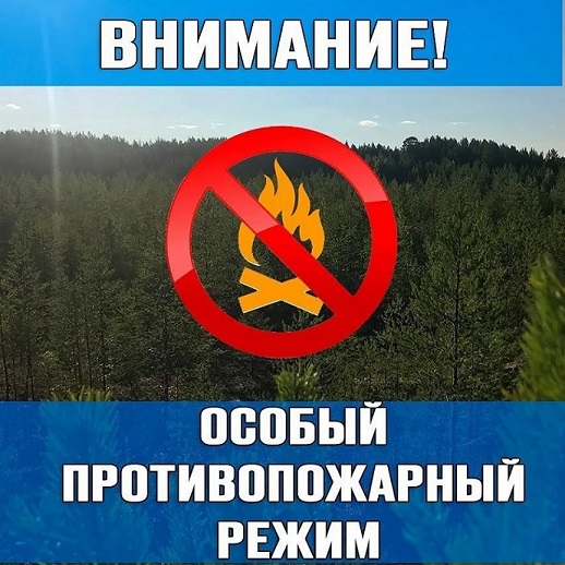 Противопожарный режим.jpg